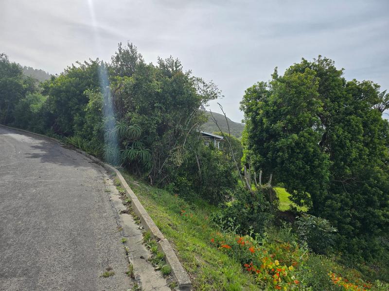 0 Bedroom Property for Sale in Glentana Western Cape